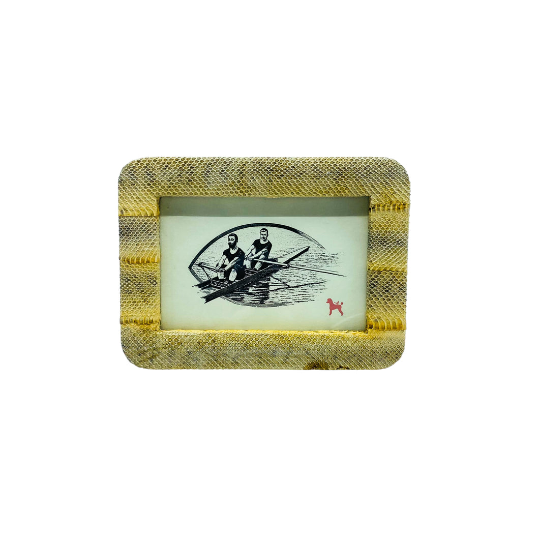 Pigeon & Poodle Snakeskin Frame