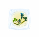 Pressed Flower Lucite Coasters, Set of 6